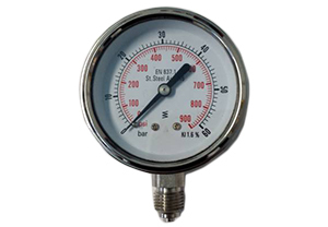 Stainless steel pressure gauges Dn 160 Total-60 Bar-v. 1/2 [ MTL - Lusogomma ]