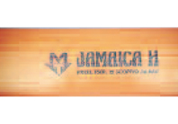 Mangueira Pvc Laranja Jamaica H - Ø - MTL - Lusogomma